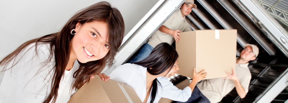 Professional Removalists Rosebery NT